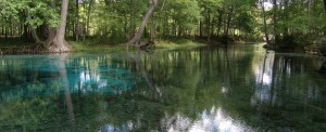 GinnieSprings_Fletcher-980x400